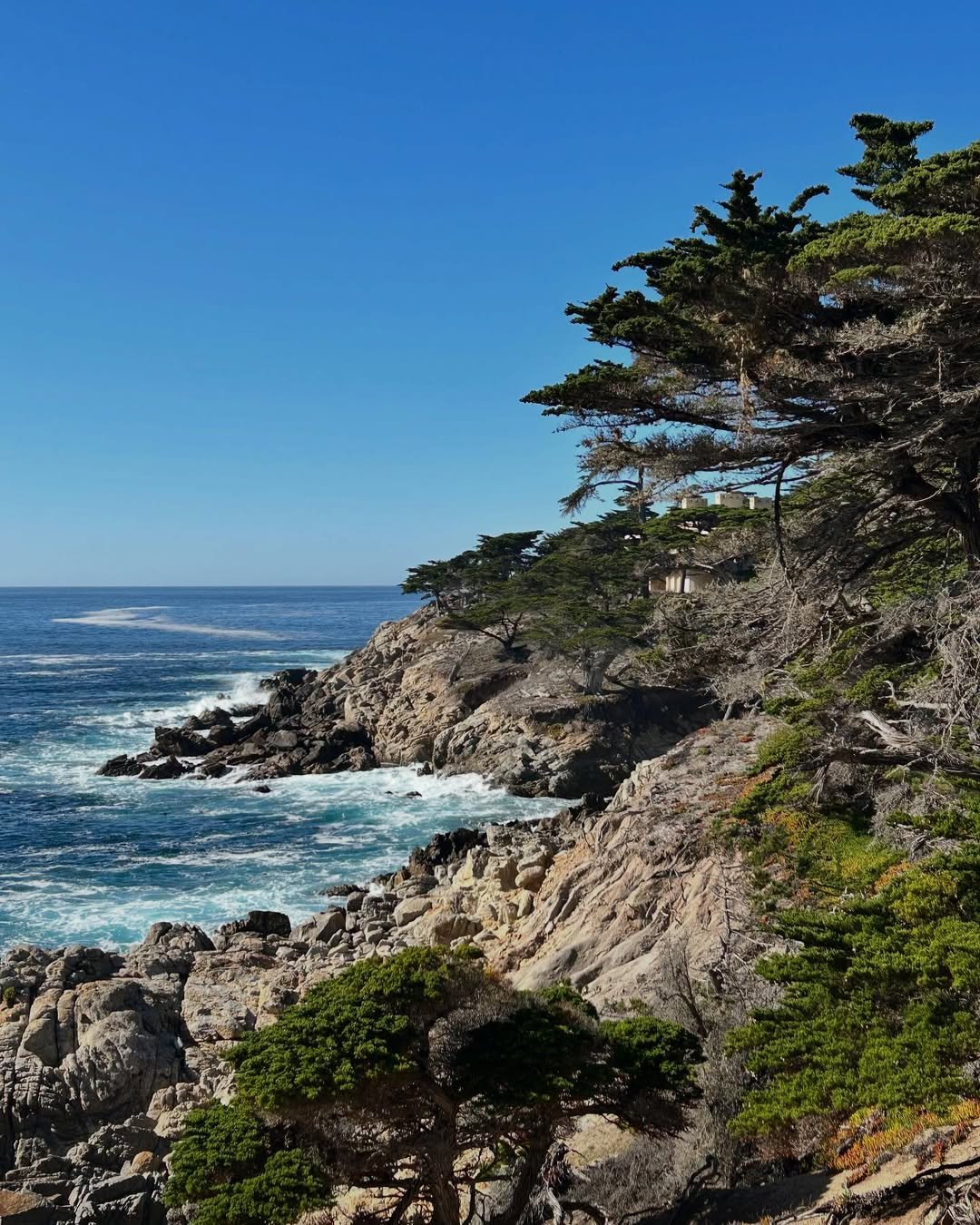 Carmel e Monterey (3)
